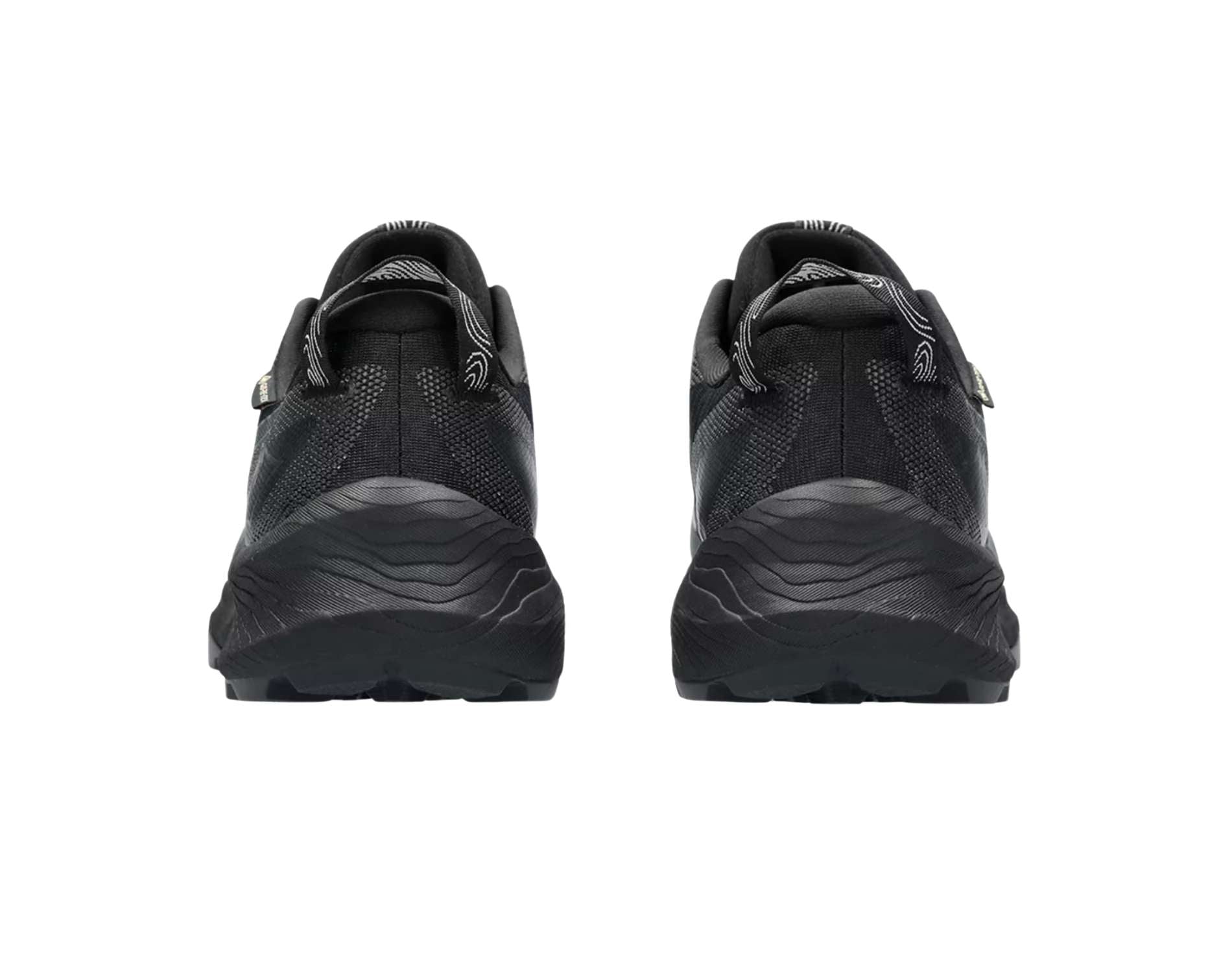 Chaussures de trail pour femmes Asics Gel-Trabuco 12 GTX