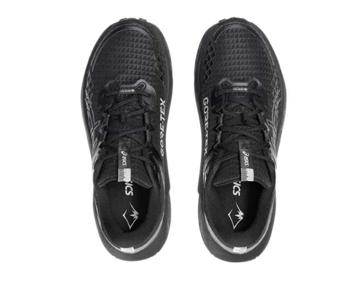 Scarpe da trail running da uomo Asics GEL Trabuco 13 GTX