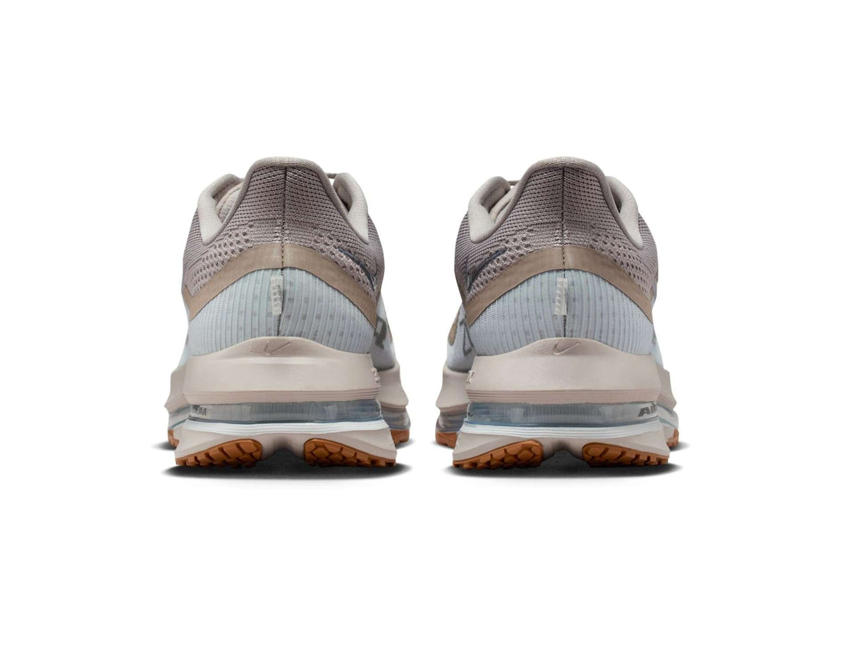 Scarpe da corsa Nike Pegasus Premium da uomo