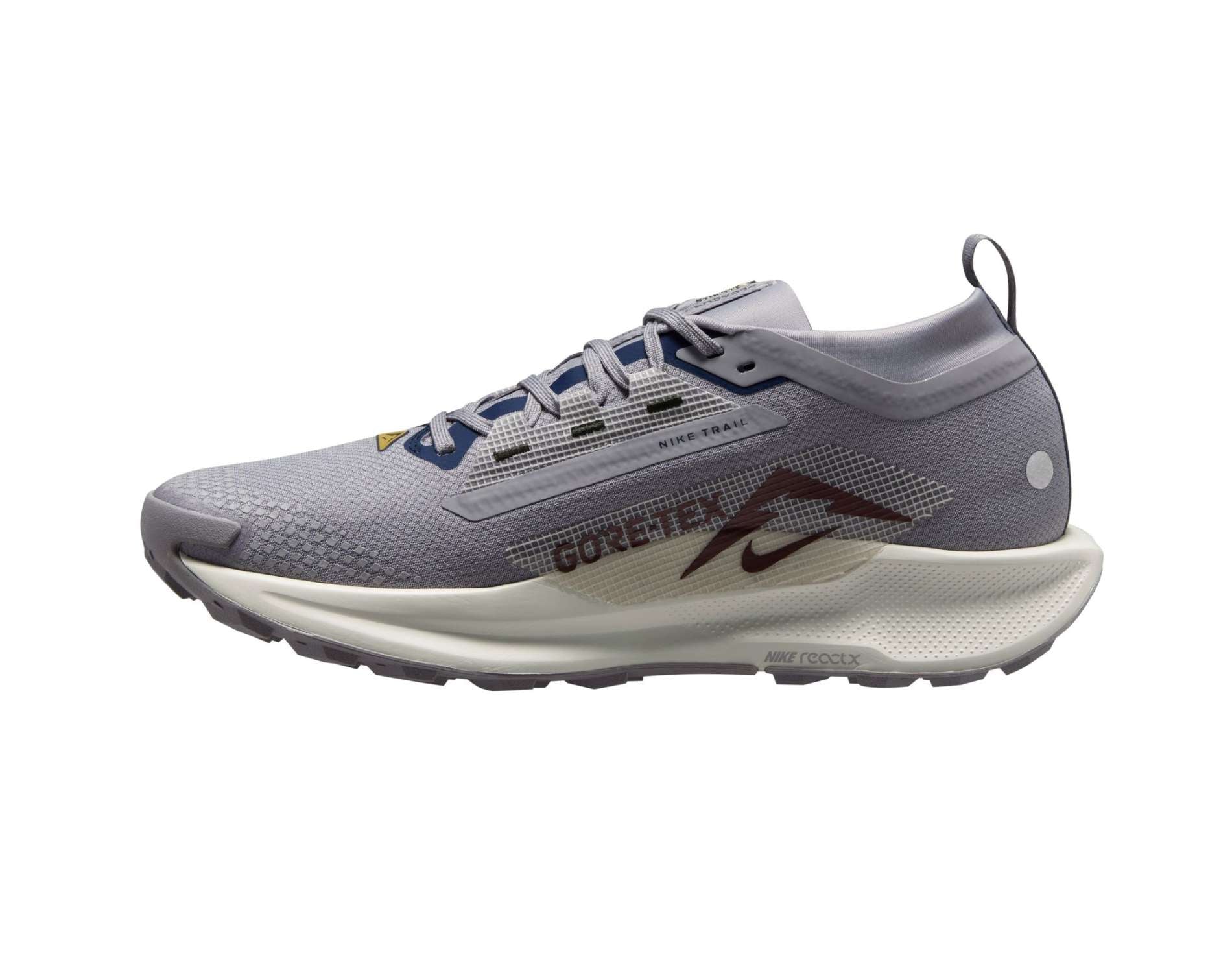 Nike Pegasus Trail 5 GORE-TEX Heren Trailrunningschoenen