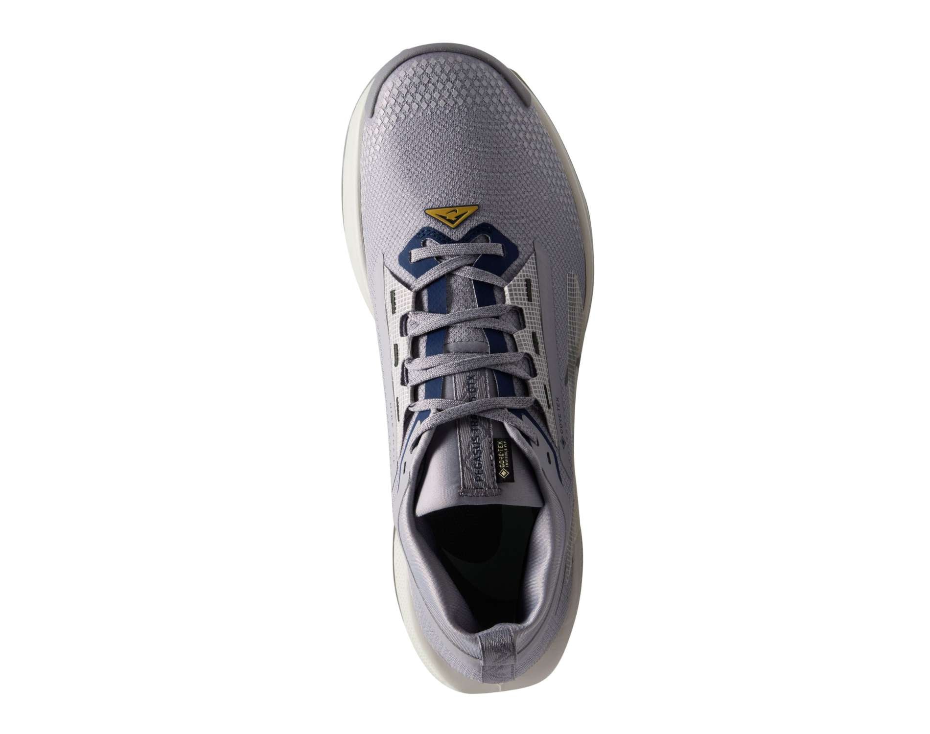 Nike Pegasus Trail 5 GORE-TEX Heren Trailrunningschoenen