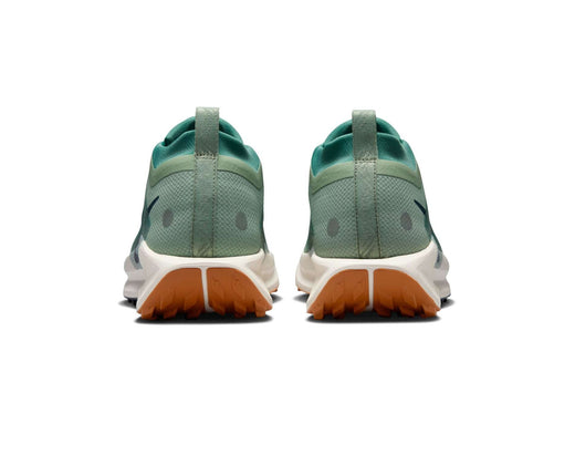 Nike Pegasus Trail 5 GORE-TEX Heren Trailrunningschoenen