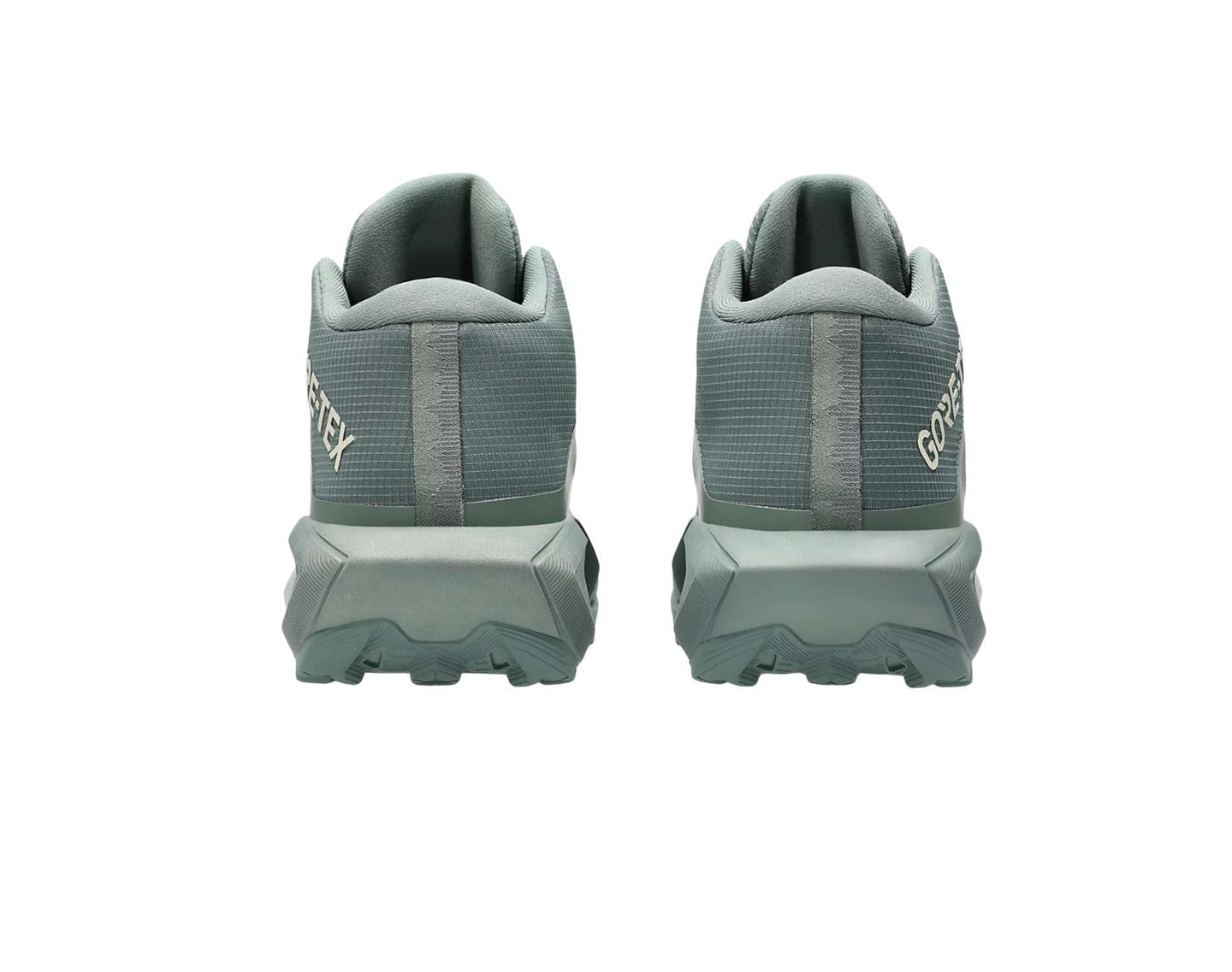 Asics GEL-Trabuco MT GTX Dames Trailrunningschoenen