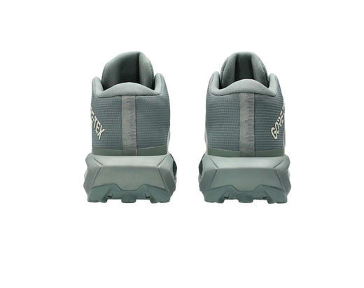 Asics GEL-Trabuco MT GTX Dames Trailrunningschoenen