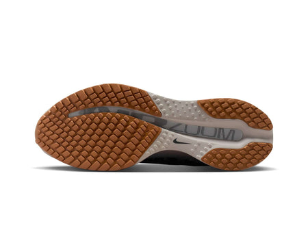 Scarpe da corsa Nike Pegasus Premium da uomo