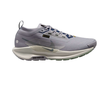 Nike Pegasus Trail 5 GORE-TEX Heren Trailrunningschoenen