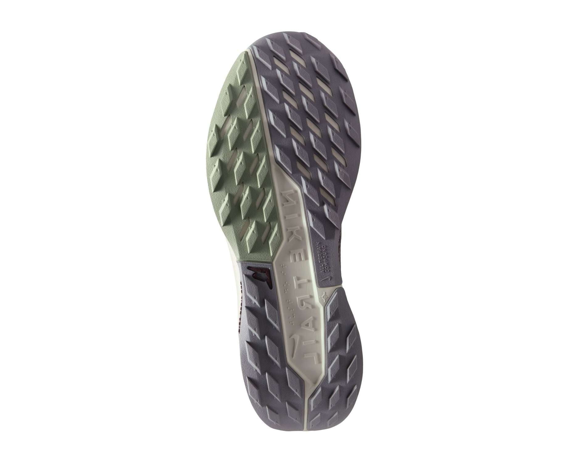 Nike Pegasus Trail 5 GORE-TEX Heren Trailrunningschoenen
