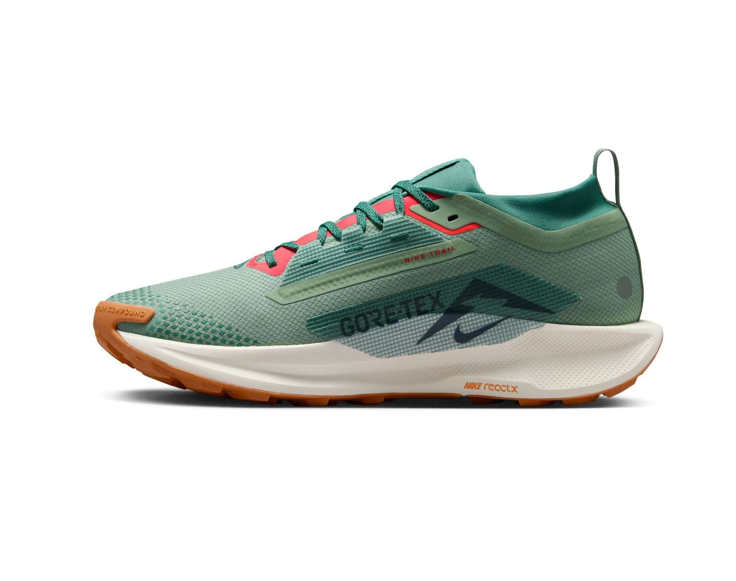 Nike Pegasus Trail 5 GORE-TEX Heren Trailrunningschoenen