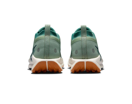 Nike Pegasus Trail 5 GORE-TEX Heren Trailrunningschoenen