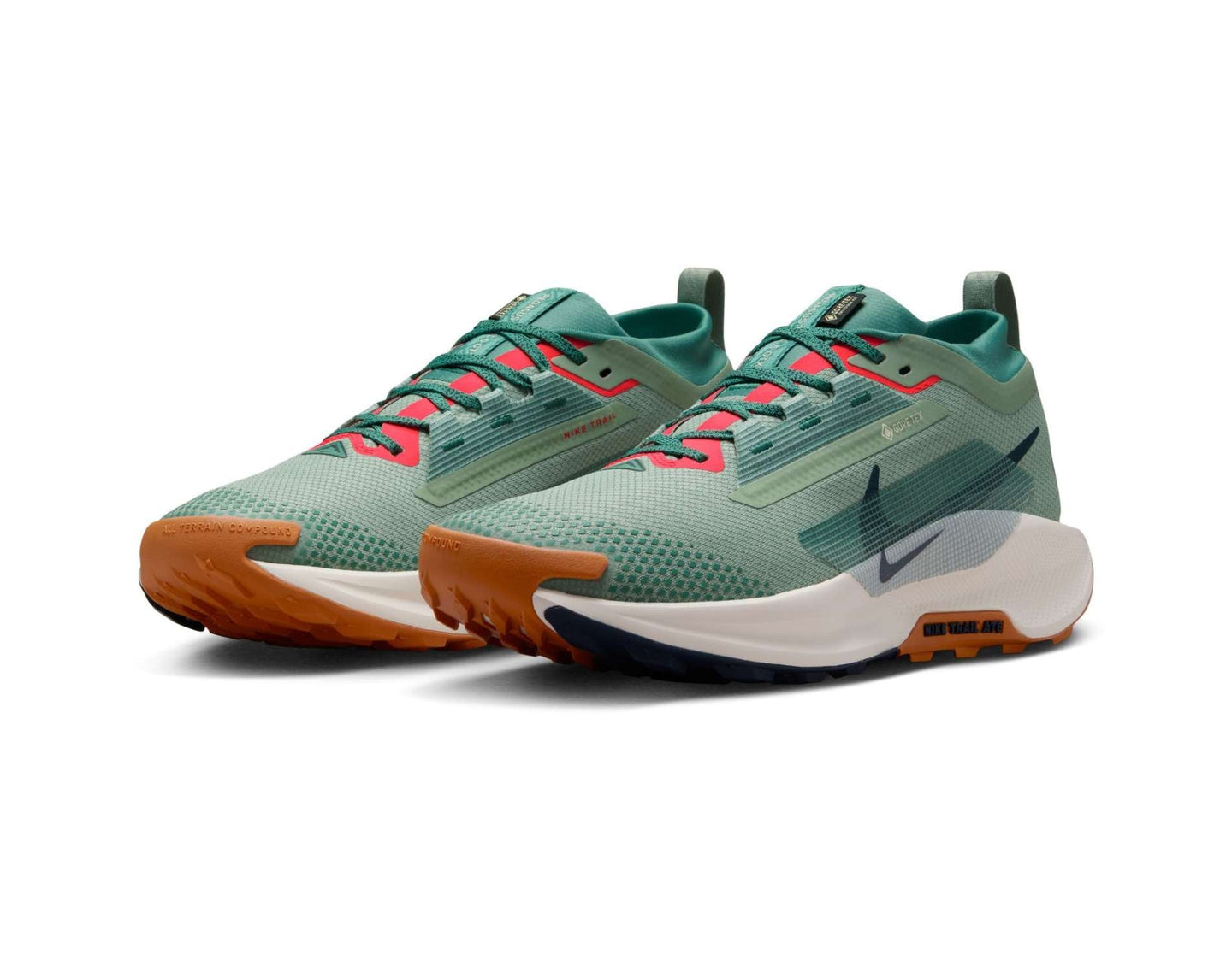 Nike Pegasus Trail 5 GORE-TEX Heren Trailrunningschoenen